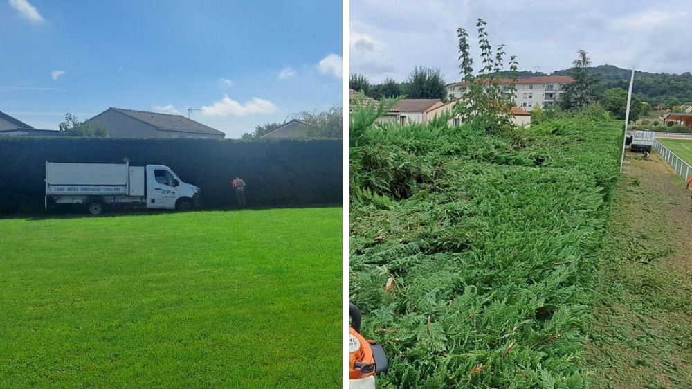 Agence Serpe Lyon  Taille haie Stade de Rugby La verpillière.jpg